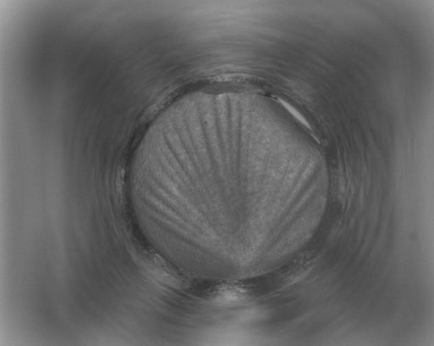 X0000066010263200603242105