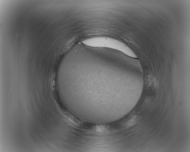 X0000066010264200603242105