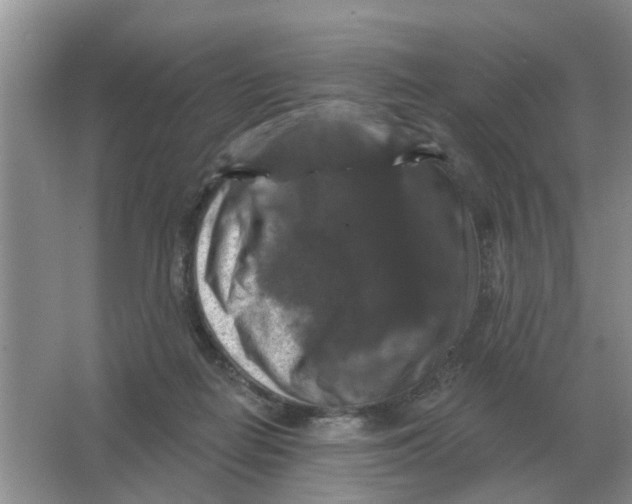 X0000066010266200603242105