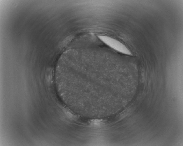 X0000066010273200603242105