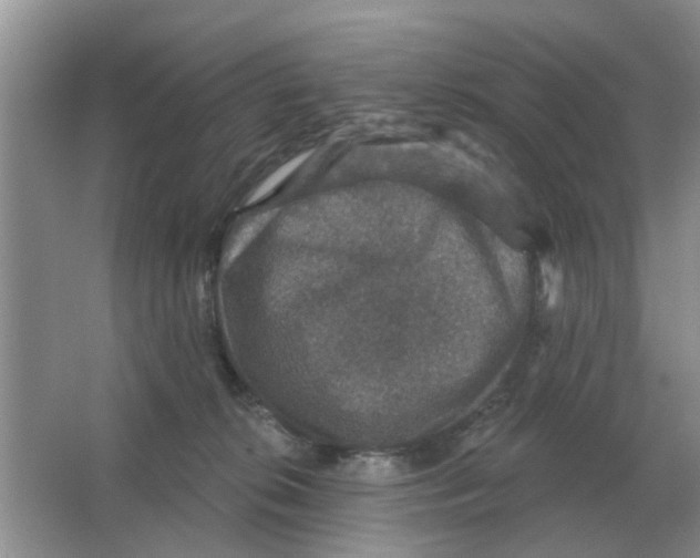 X0000066010276200603242105