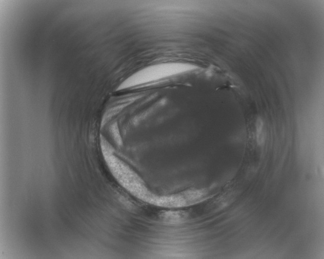 X0000066010277200603242105