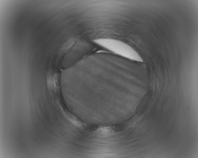 X0000066010280200603242105