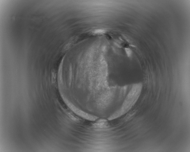 X0000066010281200603242105