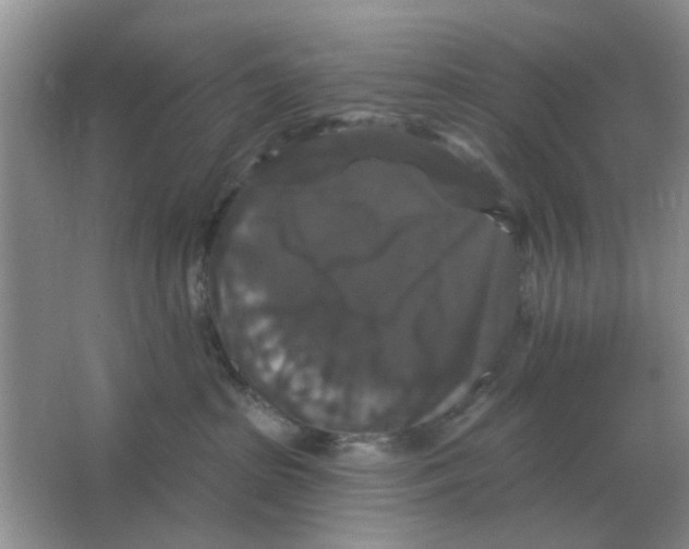 X0000066010285200603242105