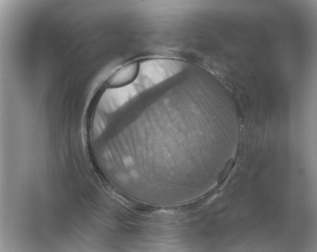 X0000066010294200603242105