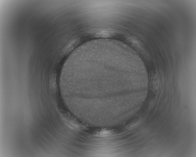 X0000066010312200603242104