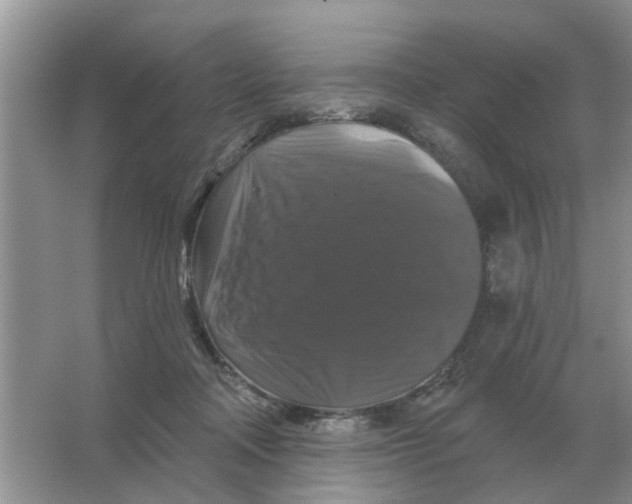X0000066010314200603242104