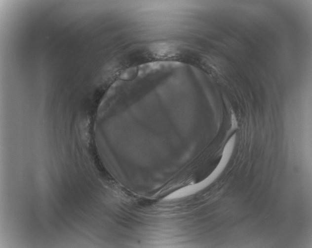 X0000066010319200603242104