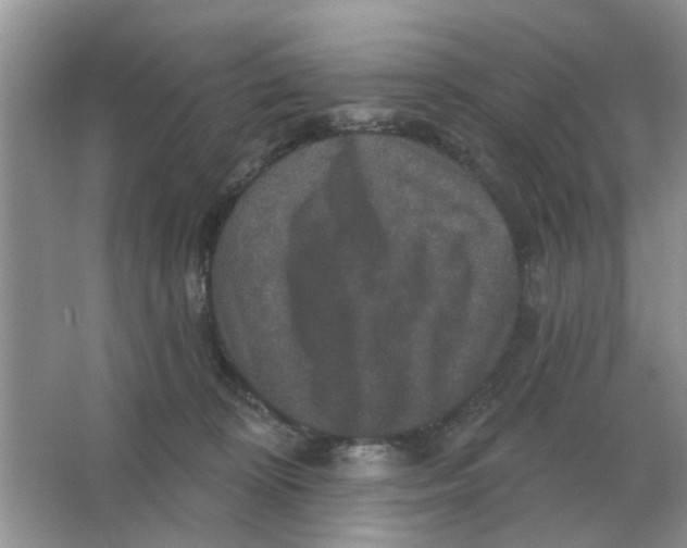 X0000066010324200603242104