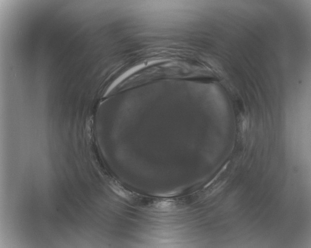 X0000066010325200603242104