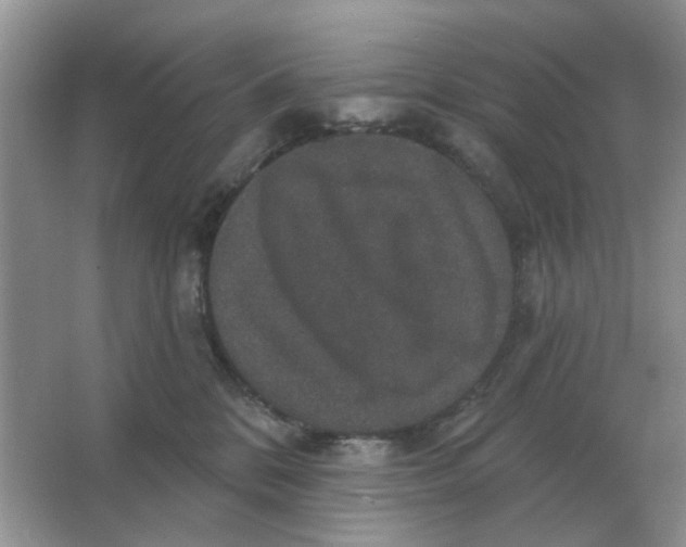 X0000066010328200603242104