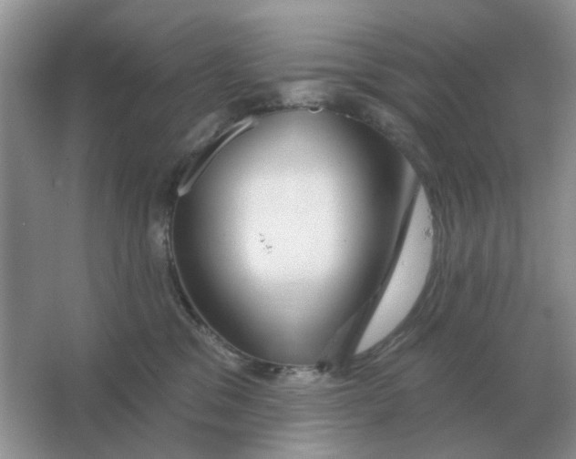 X0000066010329200603242104