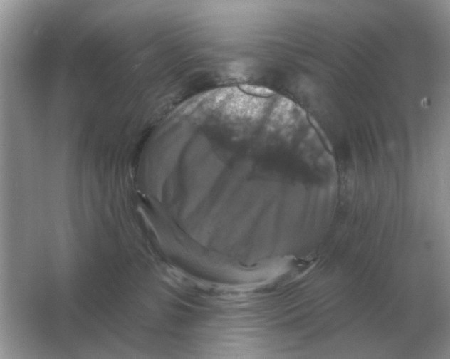 X0000066010331200603242104
