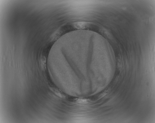X0000066010332200603242104