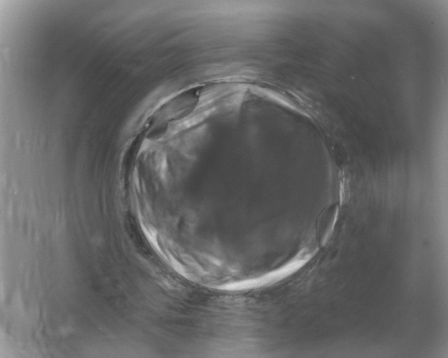 X0000066010339200603242103