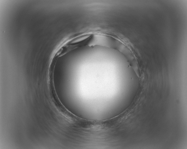 X0000066010344200603242103