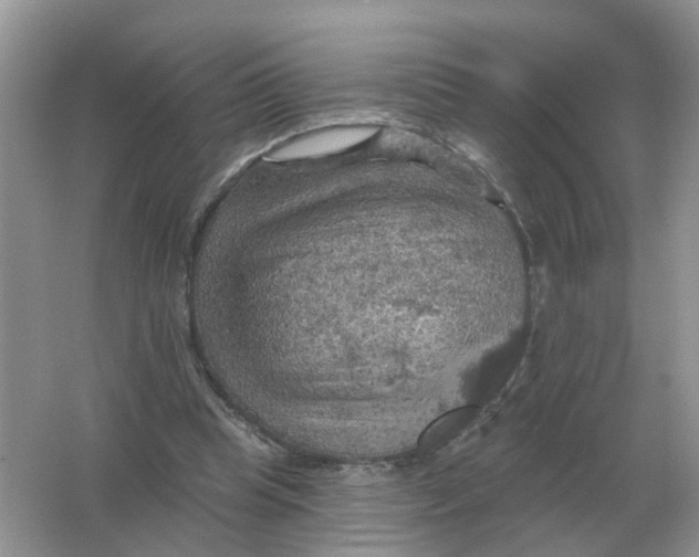 X0000066010345200603242103