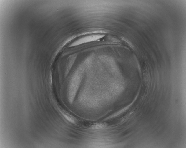 X0000066010350200603242103
