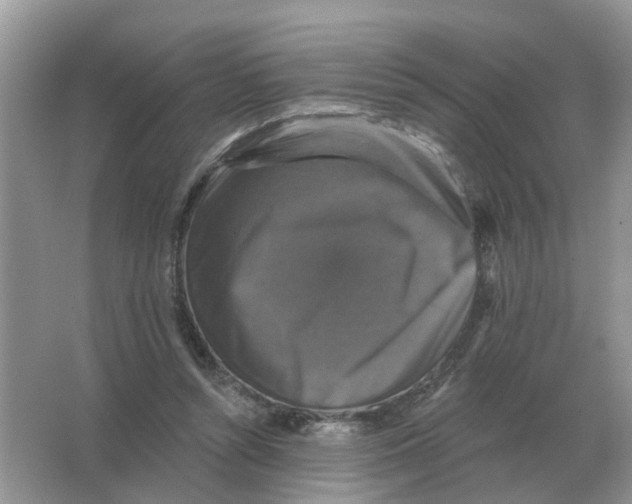 X0000066010352200603242103