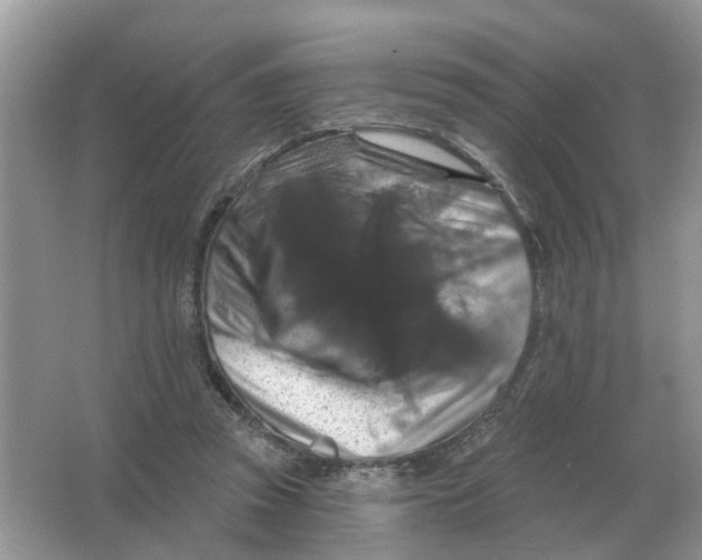 X0000066010353200603242103