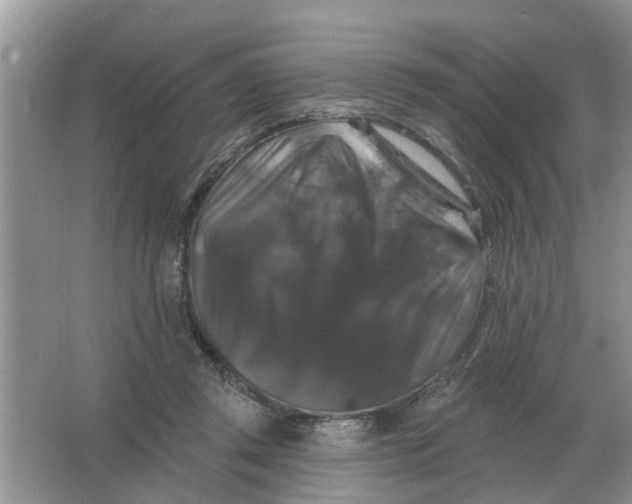 X0000066010357200603242103