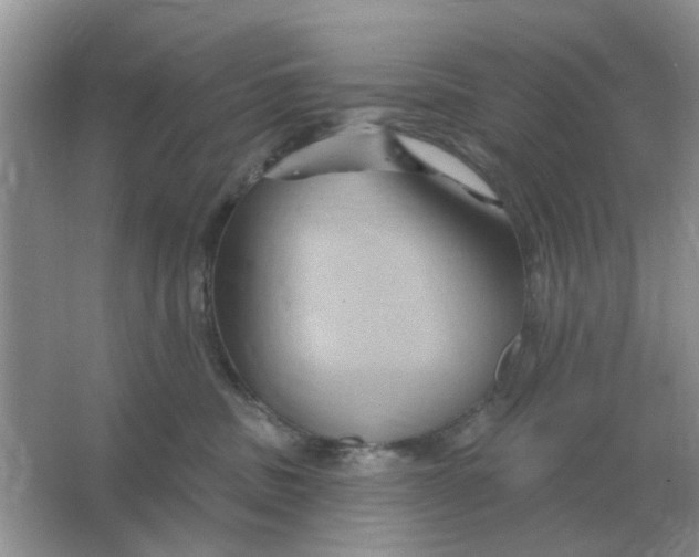 X0000066010379200603242104