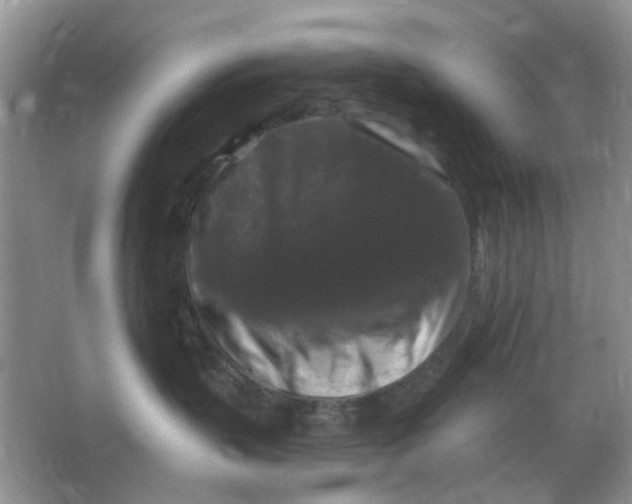 X0000066010383200603242104