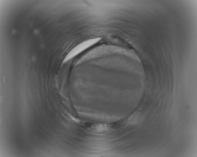 X0000066010384200603242104
