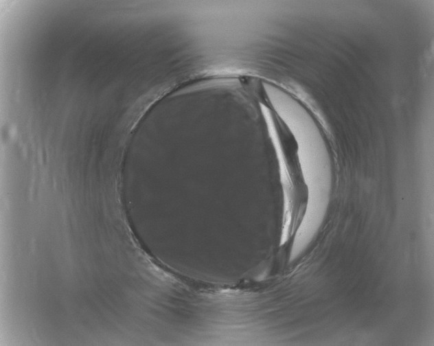 X0000066010385200603242103