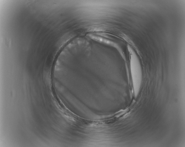 X0000066010386200603242103
