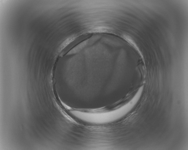 X0000066010389200603242103