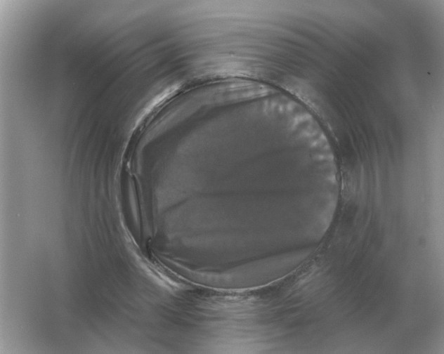 X0000066010390200603242103