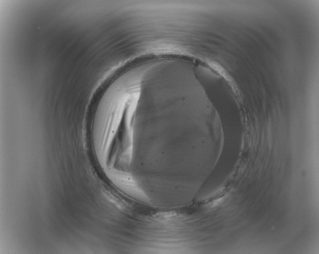 X0000066010391200603242103