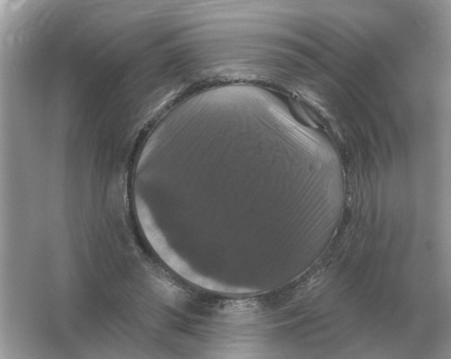 X0000066010398200603242103
