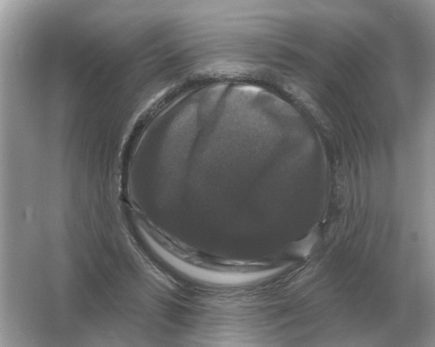 X0000066010399200603242103