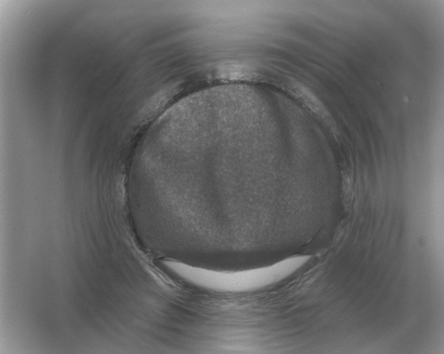 X0000066010401200603242103