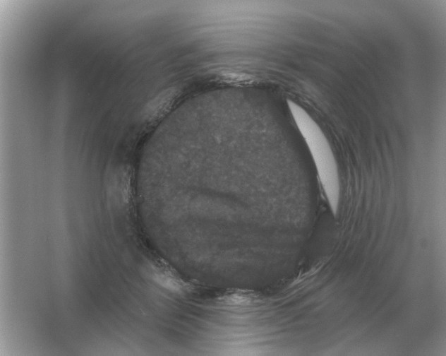 X0000066010412200603242103