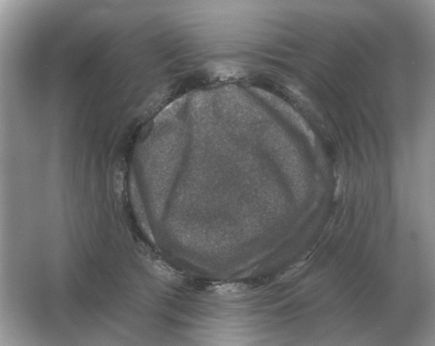 X0000066010417200603242102