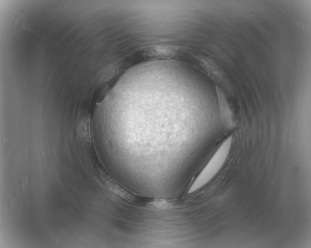 X0000066010425200603242102