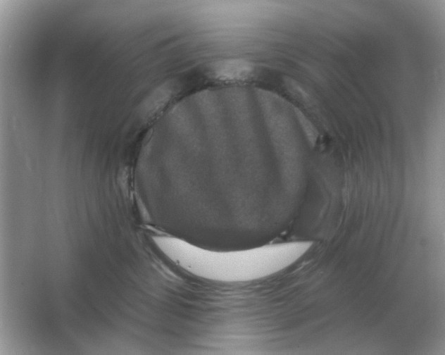 X0000066010428200603242102