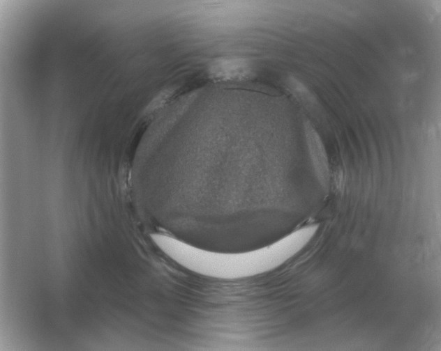 X0000066010429200603242102