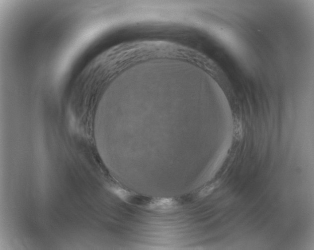 X0000066010431200603242102