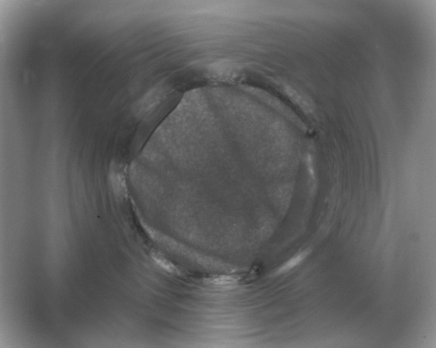 X0000066010432200603242102