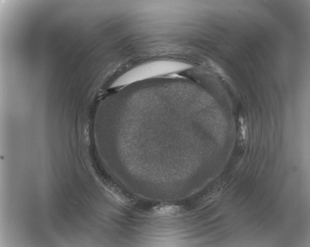 X0000066010452200603242102