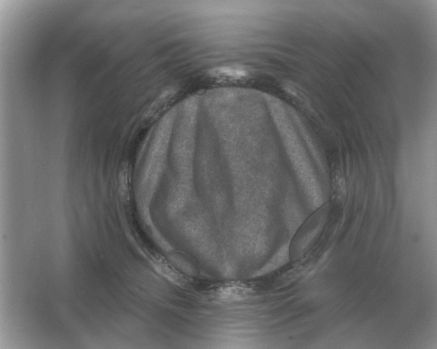 X0000066010468200603242102