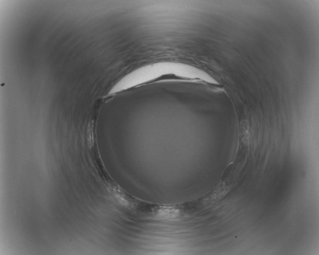 X0000066010471200603242102
