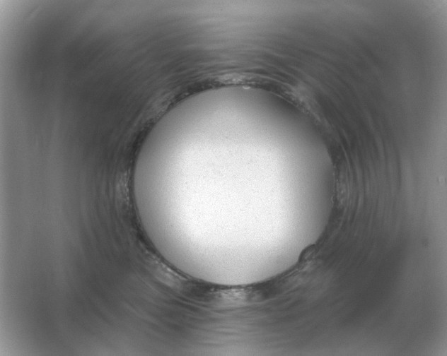 X0000066010473200603242102