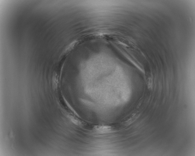 X0000066010476200603242102