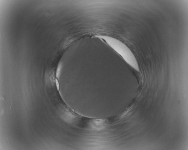 X0000066010479200603242102